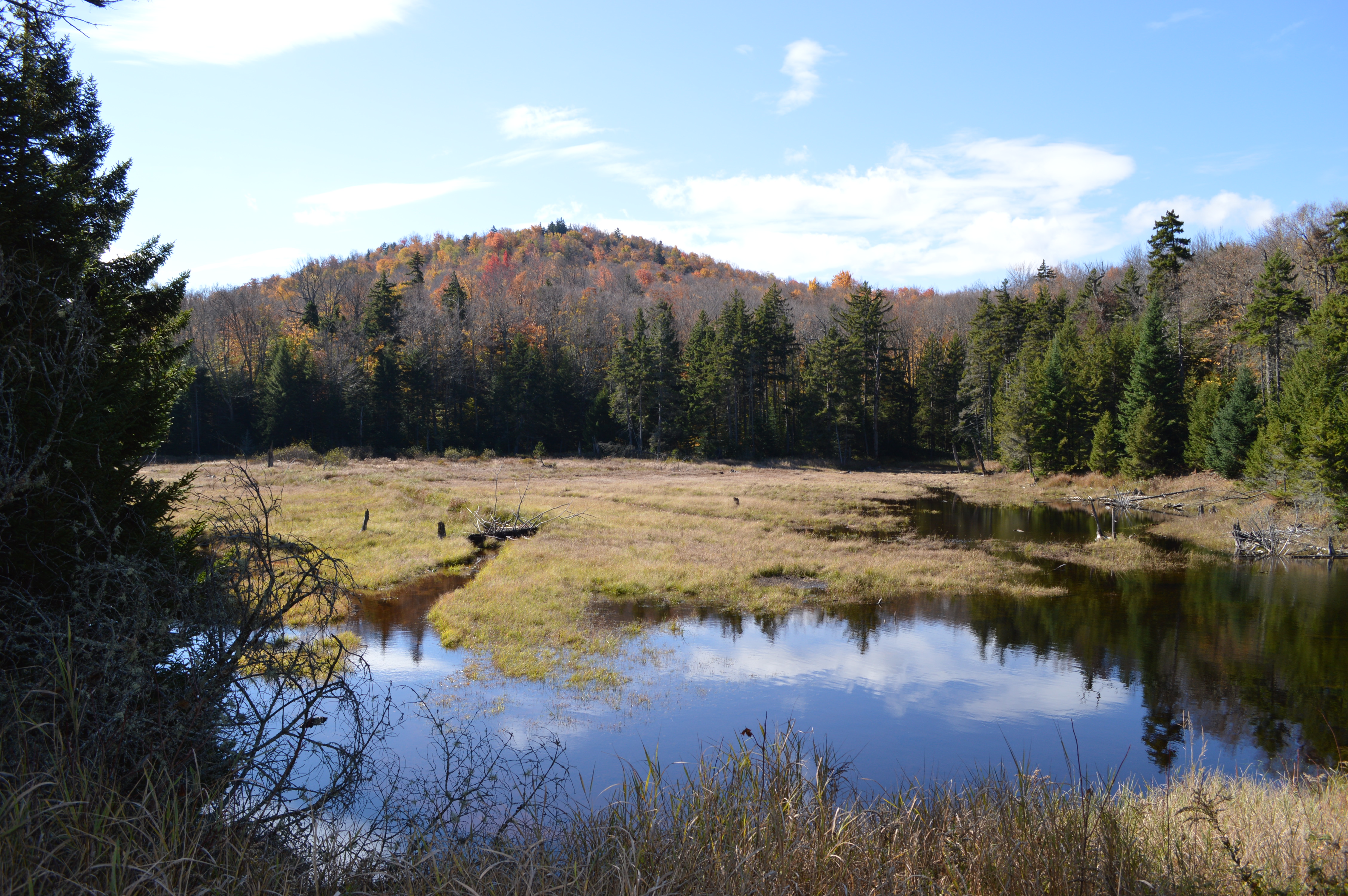 Colton,_NY,_USA_-_panoramio_(10)